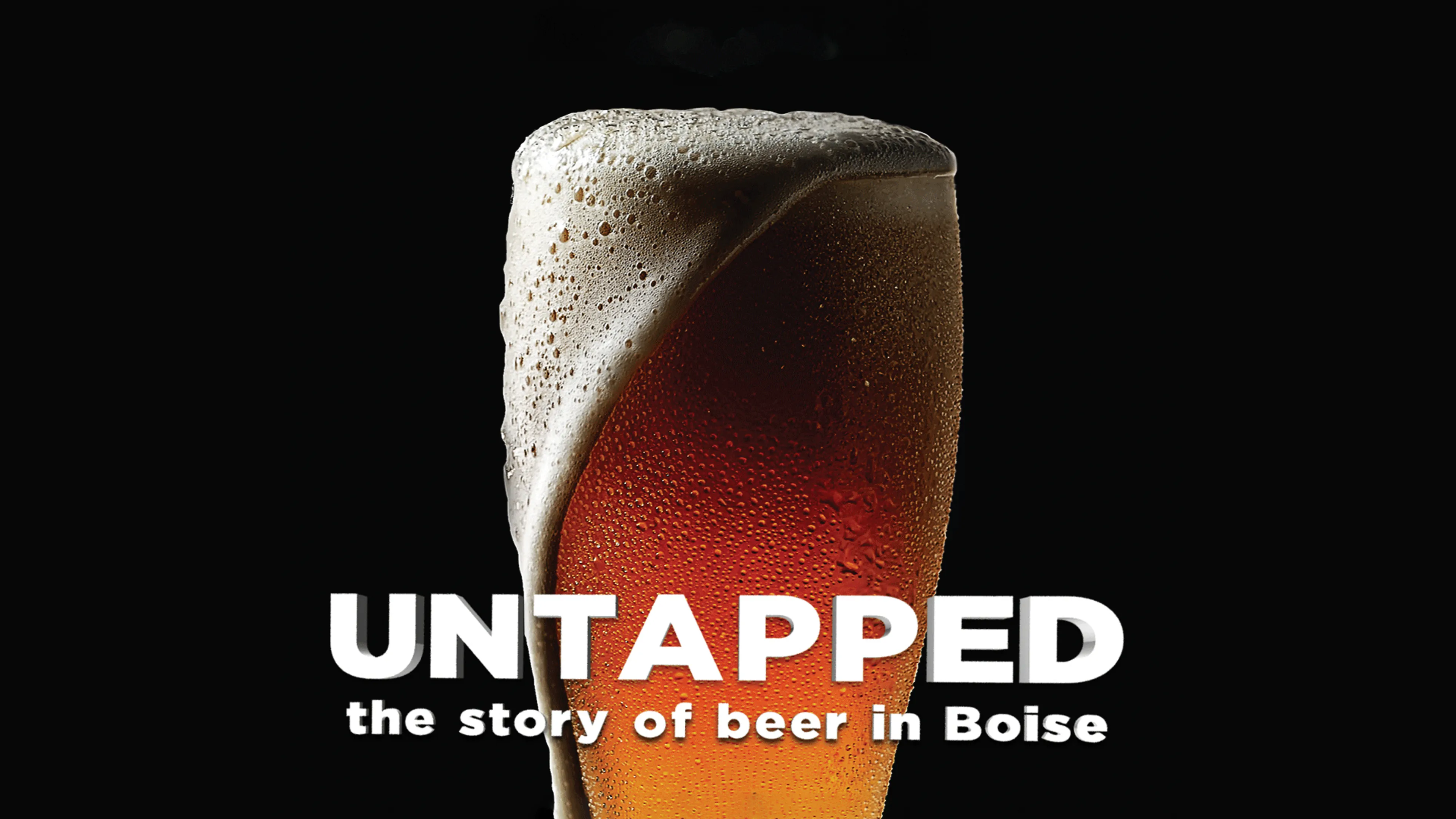 Untapped: The Story of Beer in Boise poster